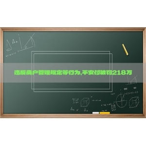 违反商户管理规定等行为，平安付被罚218万